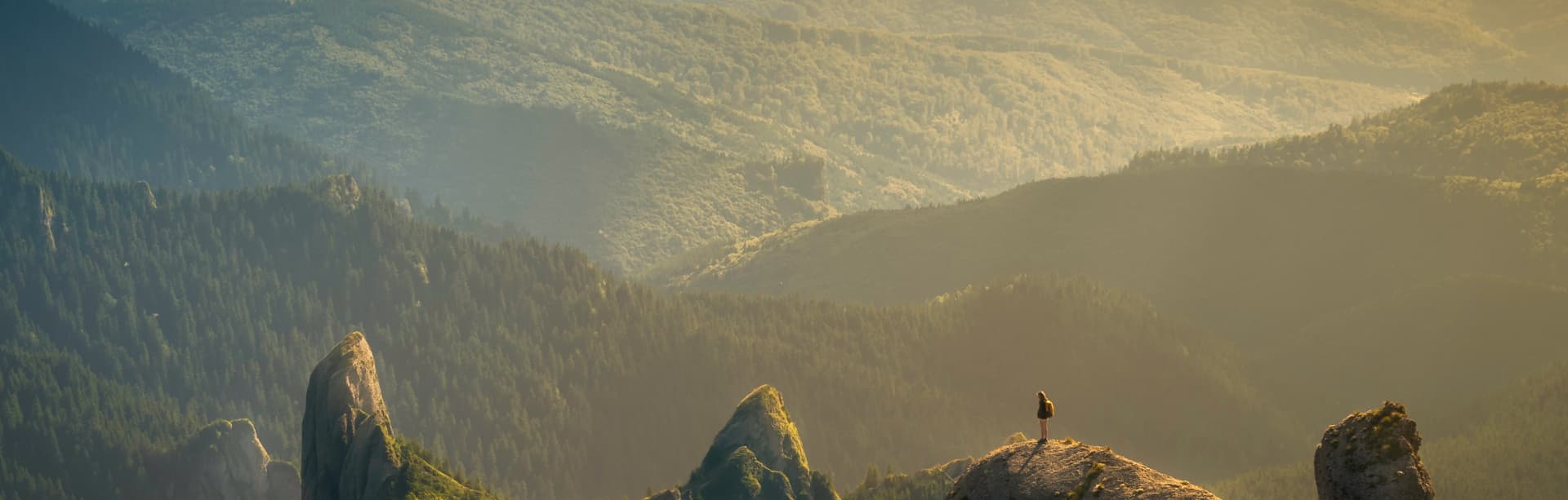 banner image