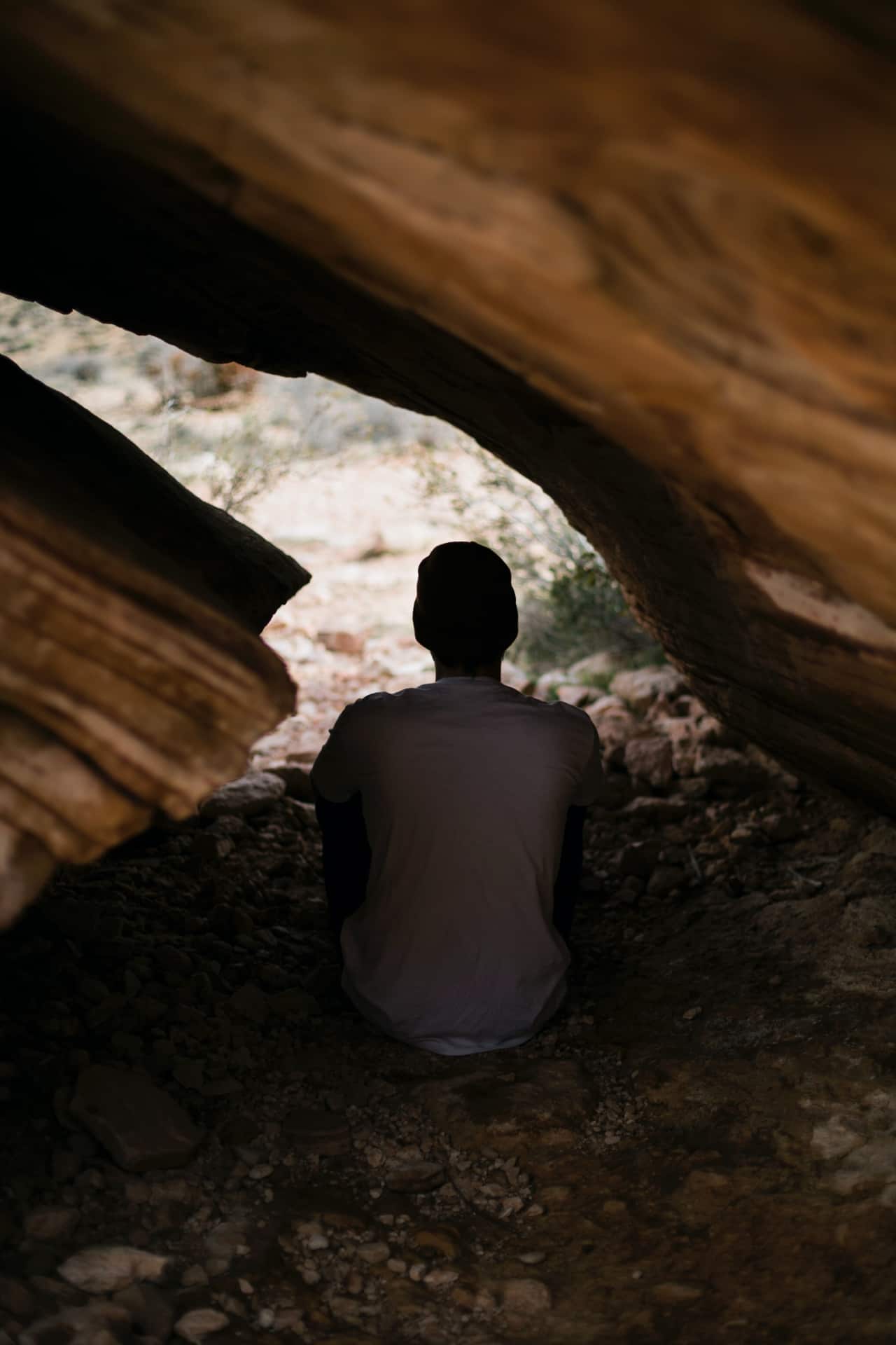 Person under a tree